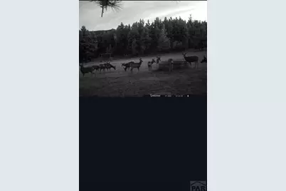 28111 County Rd 41.4, Aguilar, CO 81020 - Photo 69