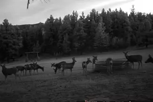 28111 County Rd 41 4, Aguilar, CO 81020 - Photo 69