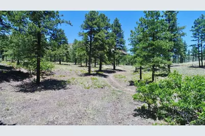 28111 County Rd 41.4, Aguilar, CO 81020 - Photo 47