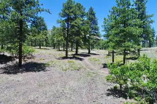 28111 County Rd 41 4, Aguilar, CO 81020 - Photo 47