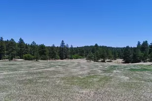 28111 County Rd 41 4, Aguilar, CO 81020 - Photo 53