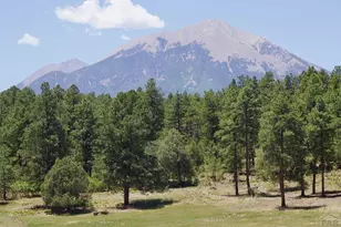 28111 County Rd 41 4, Aguilar, CO 81020 - Photo 43