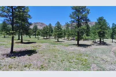 28111 County Rd 41.4, Aguilar, CO 81020 - Photo 49