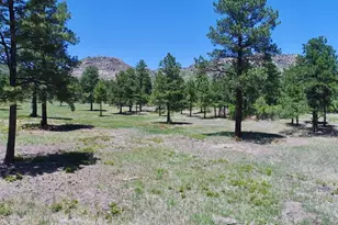 28111 County Rd 41 4, Aguilar, CO 81020 - Photo 49