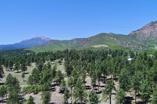 28111 County Rd 41 4, Aguilar, CO 81020 - Photo 51