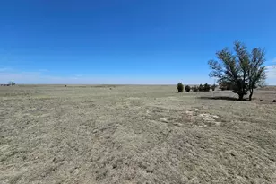 28290 County Rd 31, Springfield, CO 81073 - Photo 29