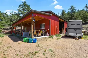 150 Julia Rd, Guffey, CO 80820 - Photo 37