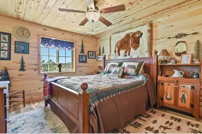 150 Julia Rd, Guffey, CO 80820 - Photo 25