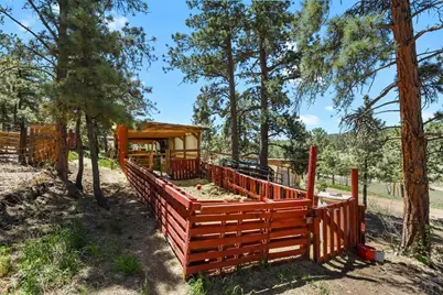 150 Julia Rd, Guffey, CO 80820 - Photo 43