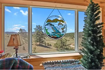 150 Julia Rd, Guffey, CO 80820 - Photo 33