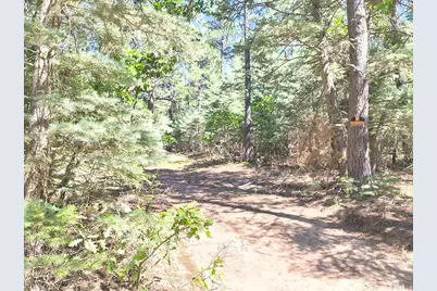 10940 Bartlett Trail, Rye, CO 81069 - Photo 7