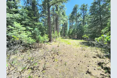 10940 Bartlett Trail, Rye, CO 81069 - Photo 13