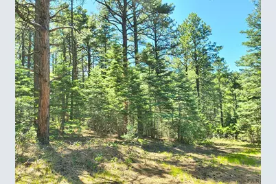 10940 Bartlett Trail, Rye, CO 81069 - Photo 15