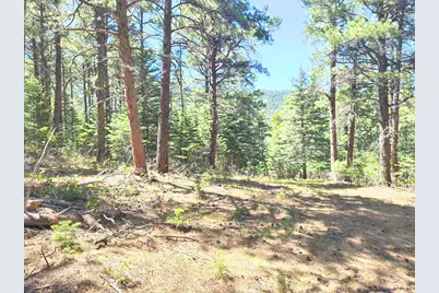 10940 Bartlett Trail, Rye, CO 81069 - Photo 11