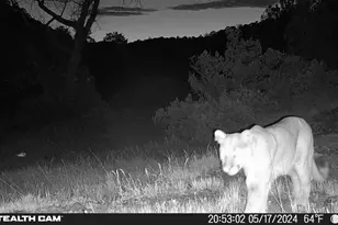 17001 Peacock Rd, Trinidad, CO 81082 - Photo 57
