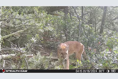 17001 Peacock Rd, Trinidad, CO 81082 - Photo 55