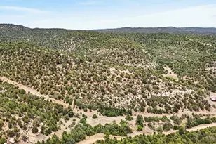 17001 Peacock Rd, Trinidad, CO 81082 - Photo 31
