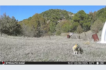 17001 Peacock Rd, Trinidad, CO 81082 - Photo 63