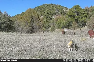 17001 Peacock Rd, Trinidad, CO 81082 - Photo 63