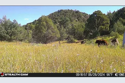 17001 Peacock Rd, Trinidad, CO 81082 - Photo 59