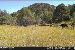 17001 Peacock Rd, Trinidad, CO 81082 - Photo 59