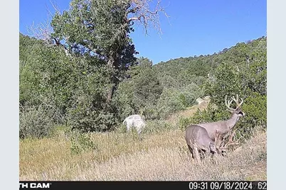 17001 Peacock Rd, Trinidad, CO 81082 - Photo 61