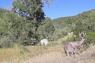 17001 Peacock Rd, Trinidad, CO 81082 - Photo 61