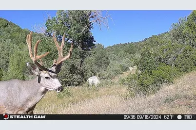 17001 Peacock Rd, Trinidad, CO 81082 - Photo 55