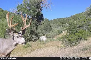 17001 Peacock Rd, Trinidad, CO 81082 - Photo 55