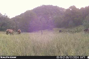 17001 Peacock Rd, Trinidad, CO 81082 - Photo 53