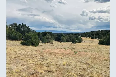 Lot 17 Navajo Ranch Resort, Walsenburg, CO 81089 - Photo 7
