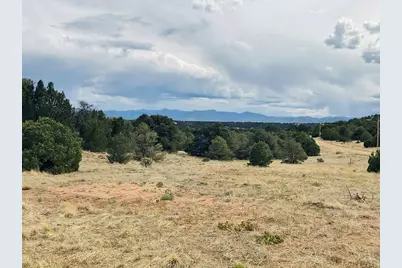 Lot 17 Navajo Ranch Resort, Walsenburg, CO 81089 - Photo 5