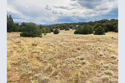 Lot 17 Navajo Ranch Resort, Walsenburg, CO 81089 - Photo 9