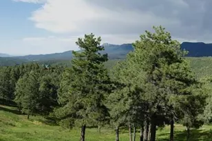 33233 Fox Trail, Trinidad, CO 81082 - Photo 45
