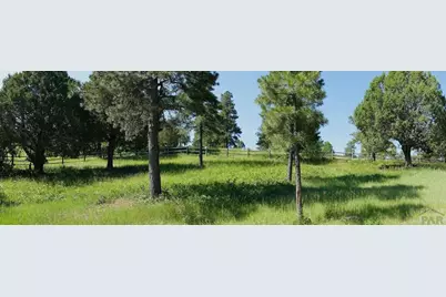 33233 Fox Trail, Trinidad, CO 81082 - Photo 43