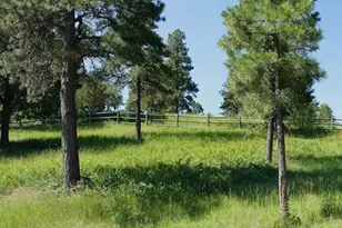 33233 Fox Trail, Trinidad, CO 81082 - Photo 43