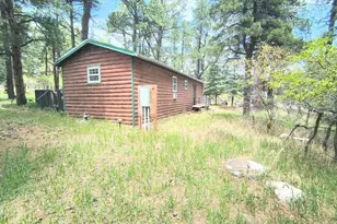 10594 Charles Ln, Rye, CO 81069 - Photo 3