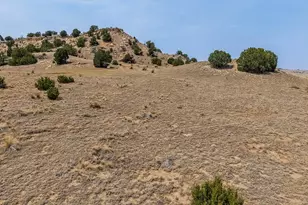 1121 Stone Cliff Rd, Rye, CO 81069 - Photo 33