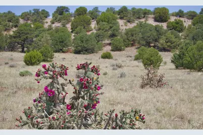 Unit #4 Commanche Rd, Walsenburg, CO 81089 - Photo 9