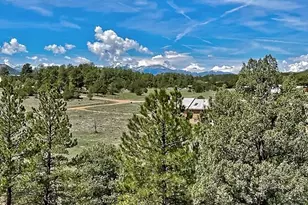 7080 Copper Gulch Rd, Cotopaxi, CO 81223 - Photo 1