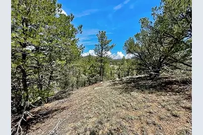 7080 Copper Gulch Road, Cotopaxi, CO 81223 - Photo 9