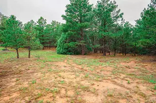 538 Rugby Mines Rd, Walsenburg, CO 81089 - Photo 9