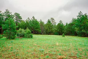 538 Rugby Mines Rd, Walsenburg, CO 81089 - Photo 7