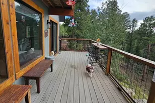 87 Bonanza Cir, Florissant, CO 80816 - Photo 17
