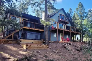 87 Bonanza Cir, Florissant, CO 80816 - Photo 11
