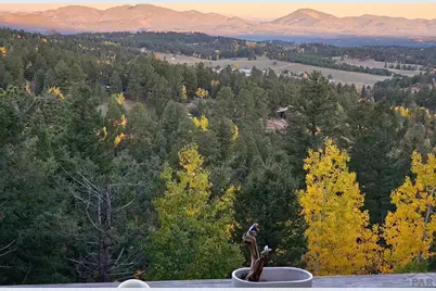 87 Bonanza Circle, Florissant, CO 80816 - Photo 23