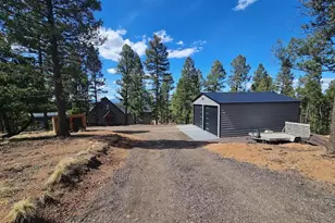 87 Bonanza Cir, Florissant, CO 80816 - Photo 1