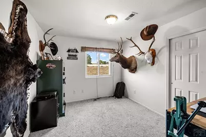 479 E Fredonia Dr, Pueblo West, CO 81007 - Photo 17