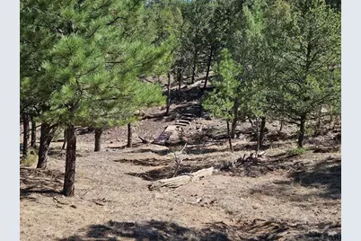 1900 Arnold Dr, Cotopaxi, CO 81223 - Photo 33