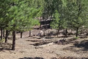 1900 Arnold Dr, Cotopaxi, CO 81223 - Photo 33